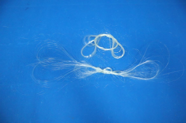 Optical fiber strands